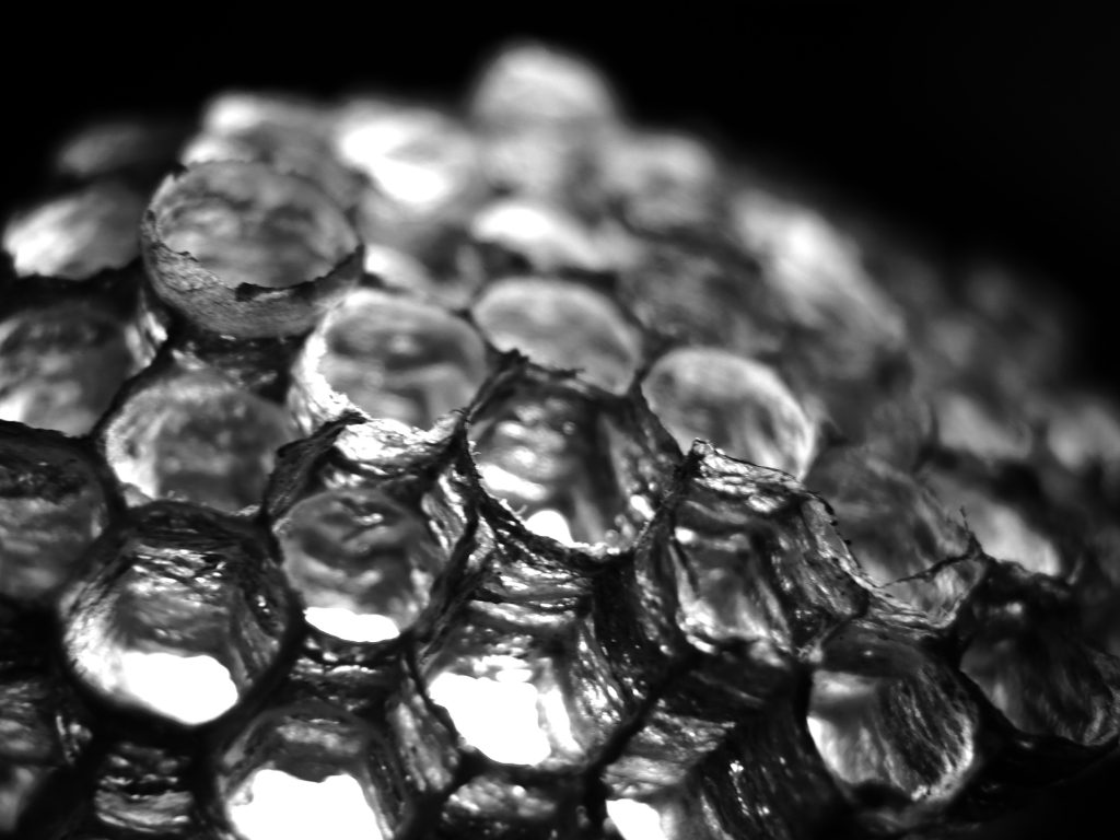 Jeremie Karan - Paper Math