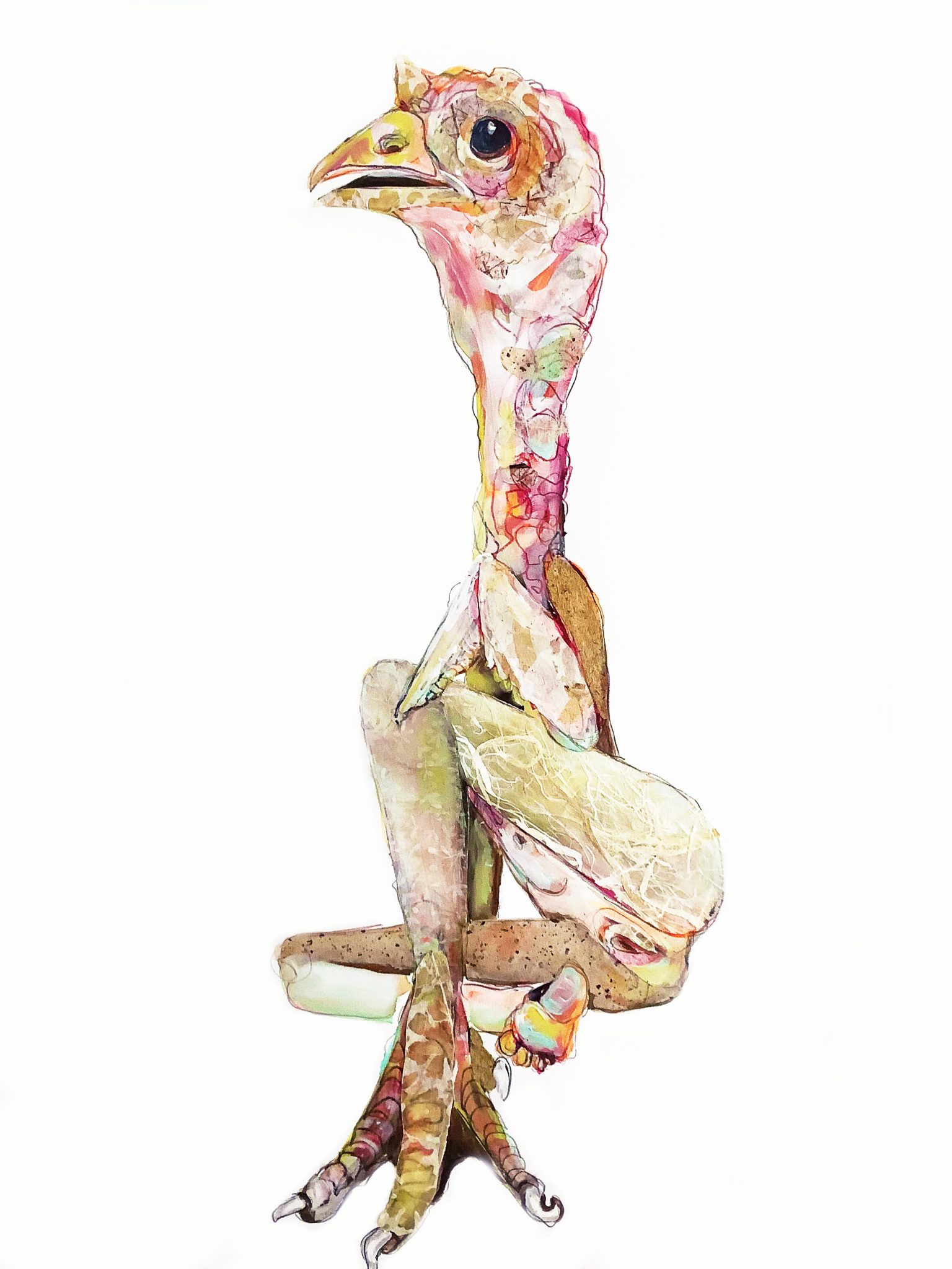 Caitlin Gill -Portrait one