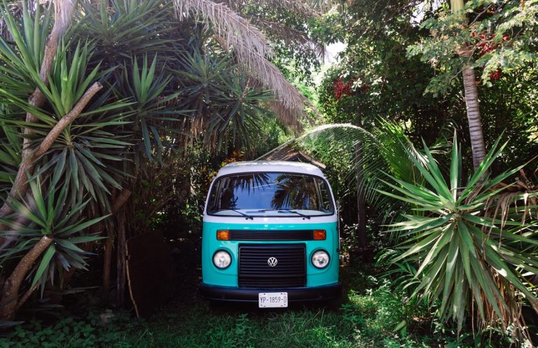 Katie Palmer Vintage Vibes and Palms