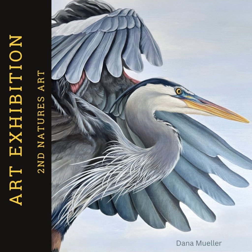 Solo Artist David Degelin 2025 Art Exhibition 14