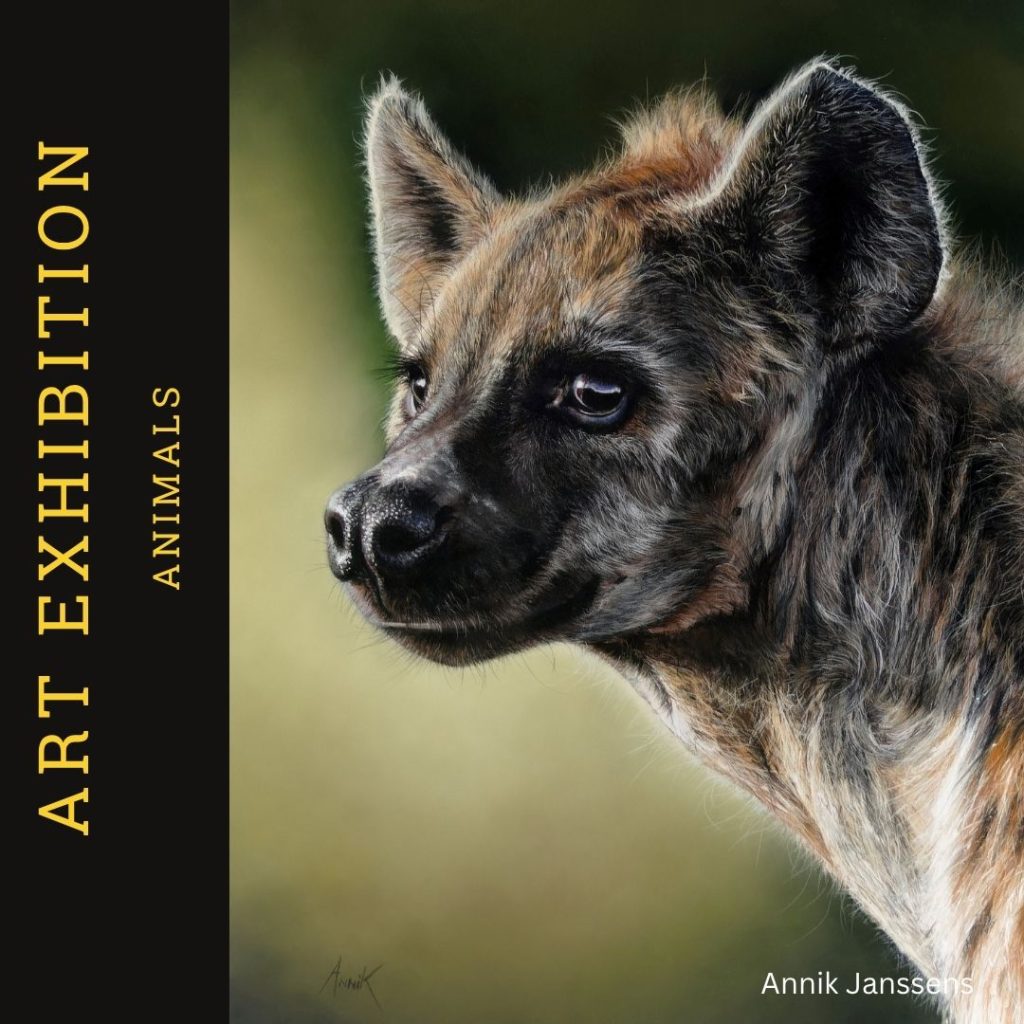 Solo Artist David Degelin 2025 Art Exhibition 17