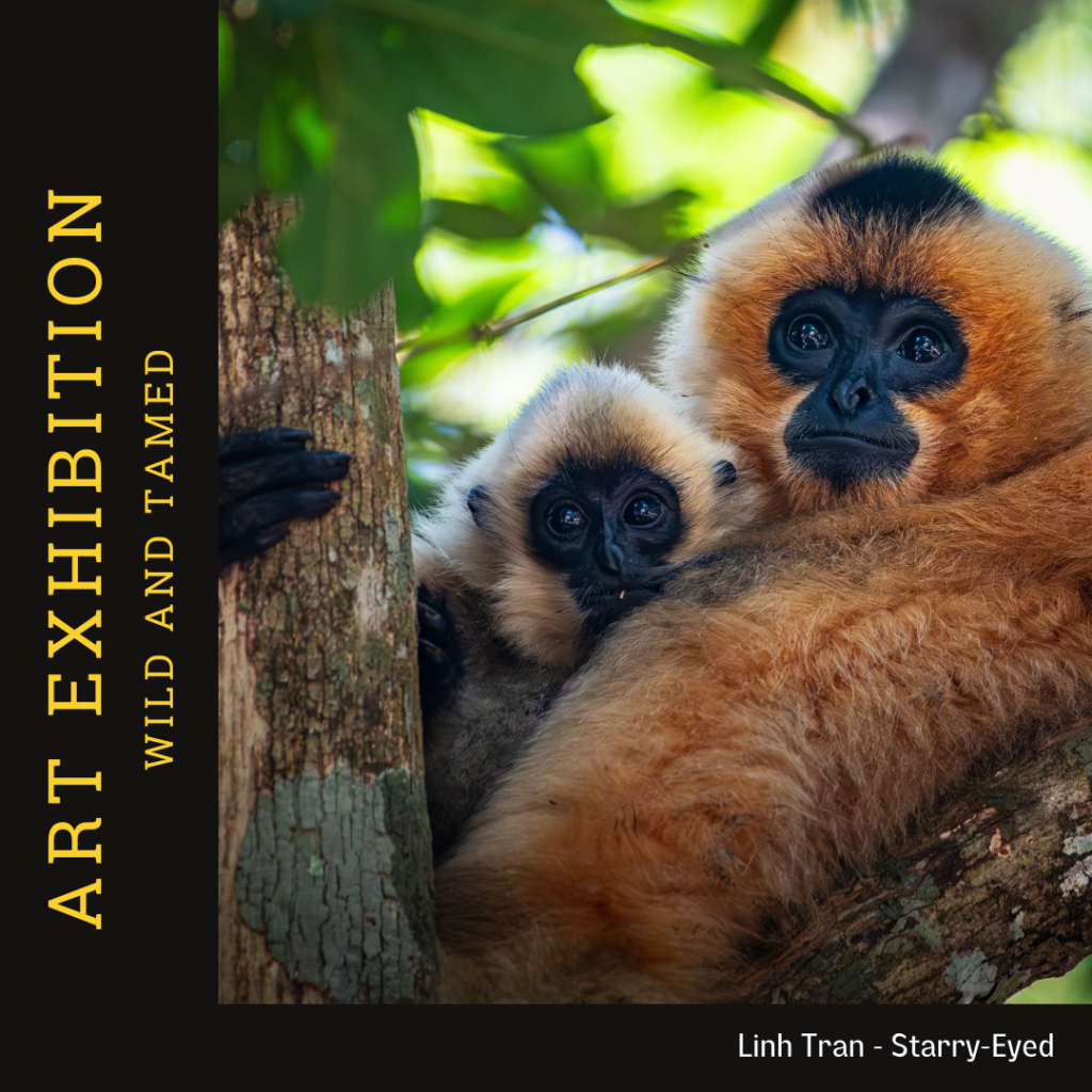 Wild and Tamed 2025 Art Exhibition