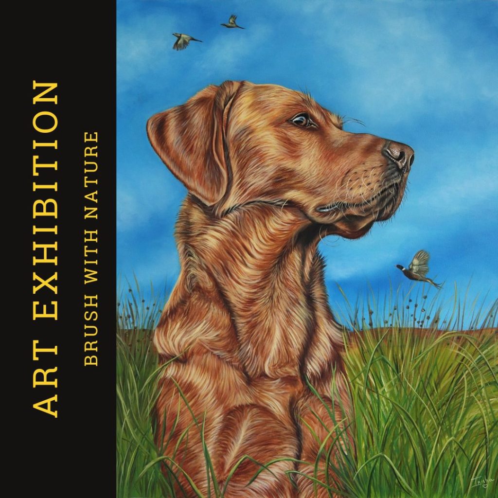 Solo Artist David Degelin 2025 Art Exhibition 2