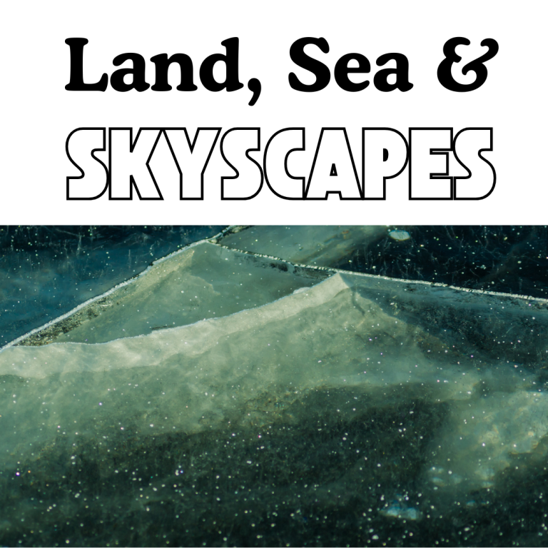 LandScapes | Blue Koi Gallery