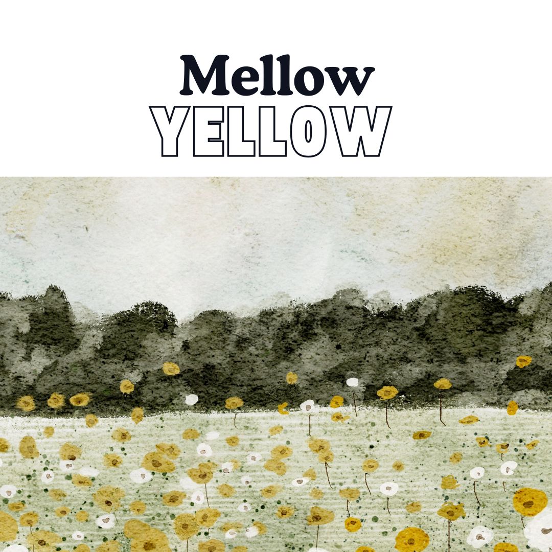 Mellow Yellow 1 | Blue Koi Gallery