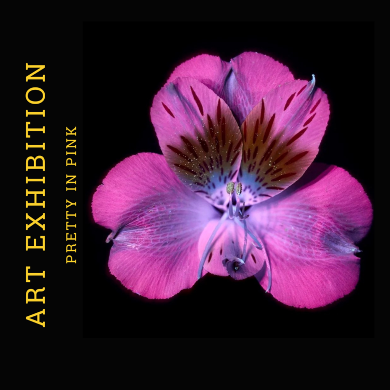 One Image One Winner Art Exhibition | Blue Koi Gallery