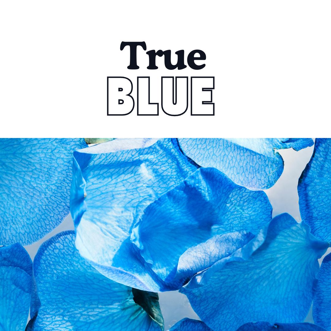 True Blue Online Art Competition 1080x1080 1 | Blue Koi Gallery
