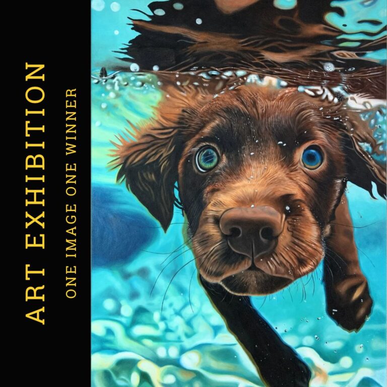 One Image One Winner Art Exhibition 1 | Blue Koi Gallery