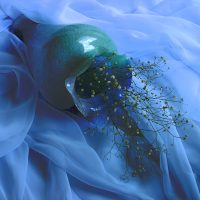 3rd Place - Ludmila Popova - Dreaming of the Ocean - https://lphotoart.us/ 225488527 | Blue Koi Gallery