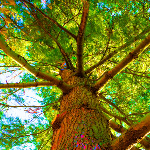 Melissa Ford - Sometimes I'm Brighter - Digital Image - melissalford.com Melissa Ford - Sometimes I'm Brighter