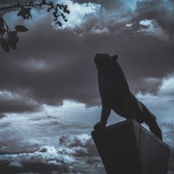 586389591 | Blue Koi Gallery