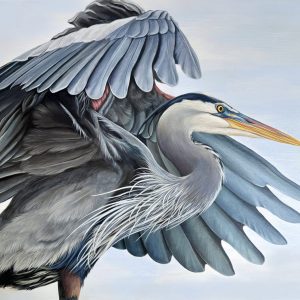 3198644506 | Blue Koi Gallery