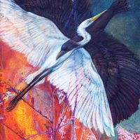 Natures Art Exhibition 7 | Blue Koi Gallery