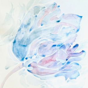 441844861 | Blue Koi Gallery