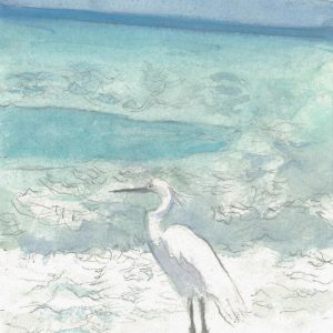 3610618120 | Blue Koi Gallery