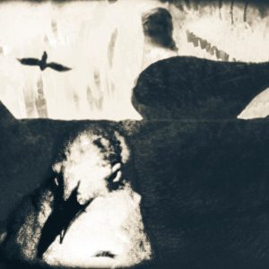 3963320480 | Blue Koi Gallery