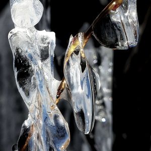 674515373 | Blue Koi Gallery