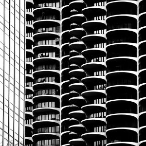 Black And White Virtual Exhibition 19 | Blue Koi Gallery