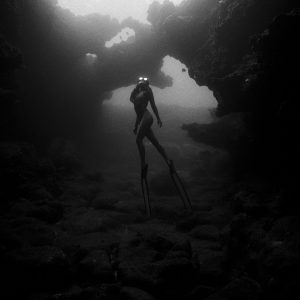 2085293310 | Blue Koi Gallery
