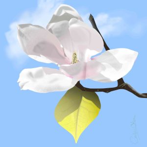 866531740 | Blue Koi Gallery