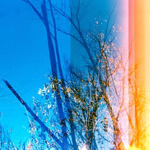 Back to Nature Art Exhibition 2025 27 | Blue Koi Gallery
