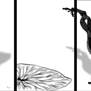1174633607 | Blue Koi Gallery