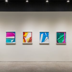 2699880237 | Blue Koi Gallery