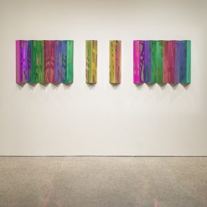 217458234 | Blue Koi Gallery