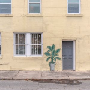 2246445786 | Blue Koi Gallery