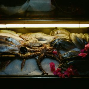 1101221757 | Blue Koi Gallery