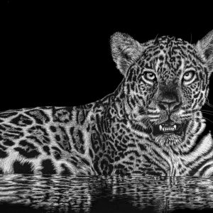 4078623874 | Blue Koi Gallery