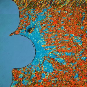 1773349854 | Blue Koi Gallery