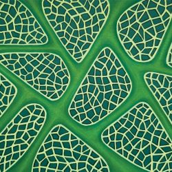 Alison Dennis | Cellular Walls | Mixed Media