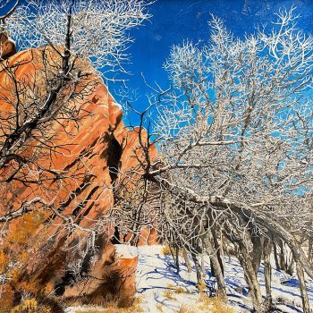 Carrie Martin - Red Rocks and White Lace - Red Rocks of Colorado series | oil on canvas
