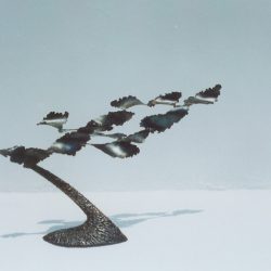 Jason Shih