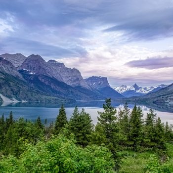 Laura Lee - Wild Goose Island | Photography