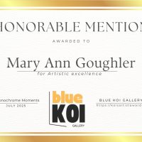 Landscapes and Monochrome July 2025 Certificates 33 | Blue Koi Gallery