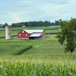 Pure country view - I phone 16 - No Website Cassandra Durkatz - Pure country view - I phone 16- No Website