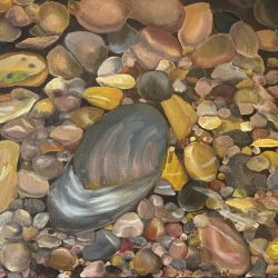 River Clam - Oil on Canvas - instagram @MiwaArtPdx Dania Miwa - River Clam - Oil on Canvas- instagram @MiwaArtPdx