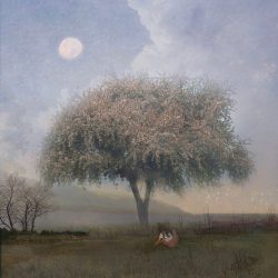 Under the Apple Blossoms - Photography - https://www.instagram.com/_kristinliz/ Kristin Long - Under the Apple Blossoms - Photography- https://www.instagram.com/_kristinliz/