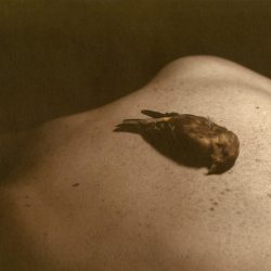 Dream Images (#2) - VanDyke overlay on Archival Pigment Print - lindsaykoontz.com LINDSAY KOONTZ - Dream Images (#2) - VanDyke overlay on Archival Pigment Print- lindsaykoontz.com