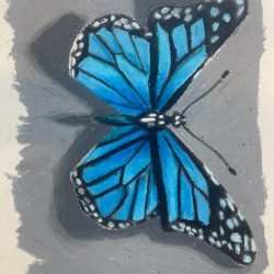 Saamia Salik - Blue Flight - Oil Pastel - No Website