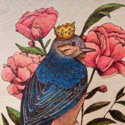King Bluebird - Pyrography on birch, ink - https://www.instagram.com/oddbirdydesigns/ Sam Shockley - King Bluebird - Pyrography on birch, ink- https://www.instagram.com/oddbirdydesigns/