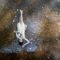 Be Still - Photography - https://www.reflectionsbysueeckl.com Sue Eckl - Be Still - Photography- https://www.reflectionsbysueeckl.com