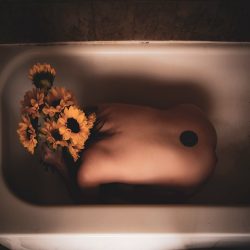 Untitled (Sunflowers) - Photography - https://vikkimariephotography.com/ Vikki Marie - Untitled (Sunflowers) - Photography- https://vikkimariephotography.com/