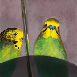 Yulia Vedenina - Feathered Dialogue - Digital art- No Website