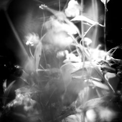 Our spirits await the day When we may once again reign - Photography - www.kevinvogrin.com Kevin Vogrin - Our spirits await the day When we may once again reign - Photography- www.kevinvogrin.com