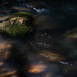 Shubhie Panicker - Drift - Photography- https://www.shubhie.com/