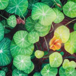 First of Many - Watercolor & Colored Pen - https://www.instagram.com/debnath_sunita_ Sunita Debnath - First of Many - Watercolor & Colored Pen- https://www.instagram.com/debnath_sunita_