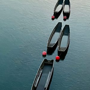 Brigitte B Burckhardt - On the River - Photography - https://www.instagram.com/bbbeaglebearphotography
